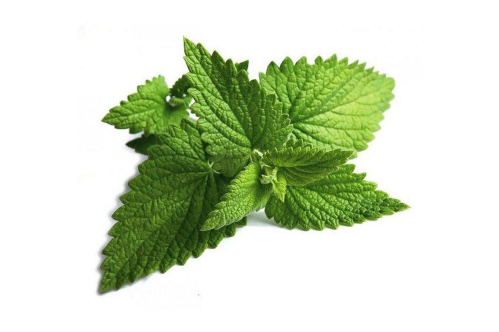 mint leaves